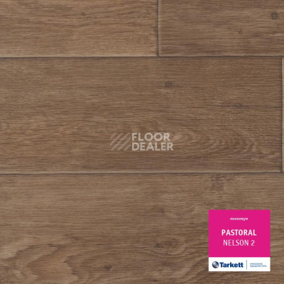 Линолеум Tarkett Pastoral NELSON 2 фото 1 | FLOORDEALER